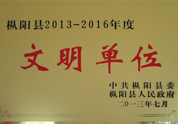 文明单位(2013-2016)